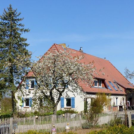 Hof Sorgenlos Gross Gievitz المظهر الخارجي الصورة