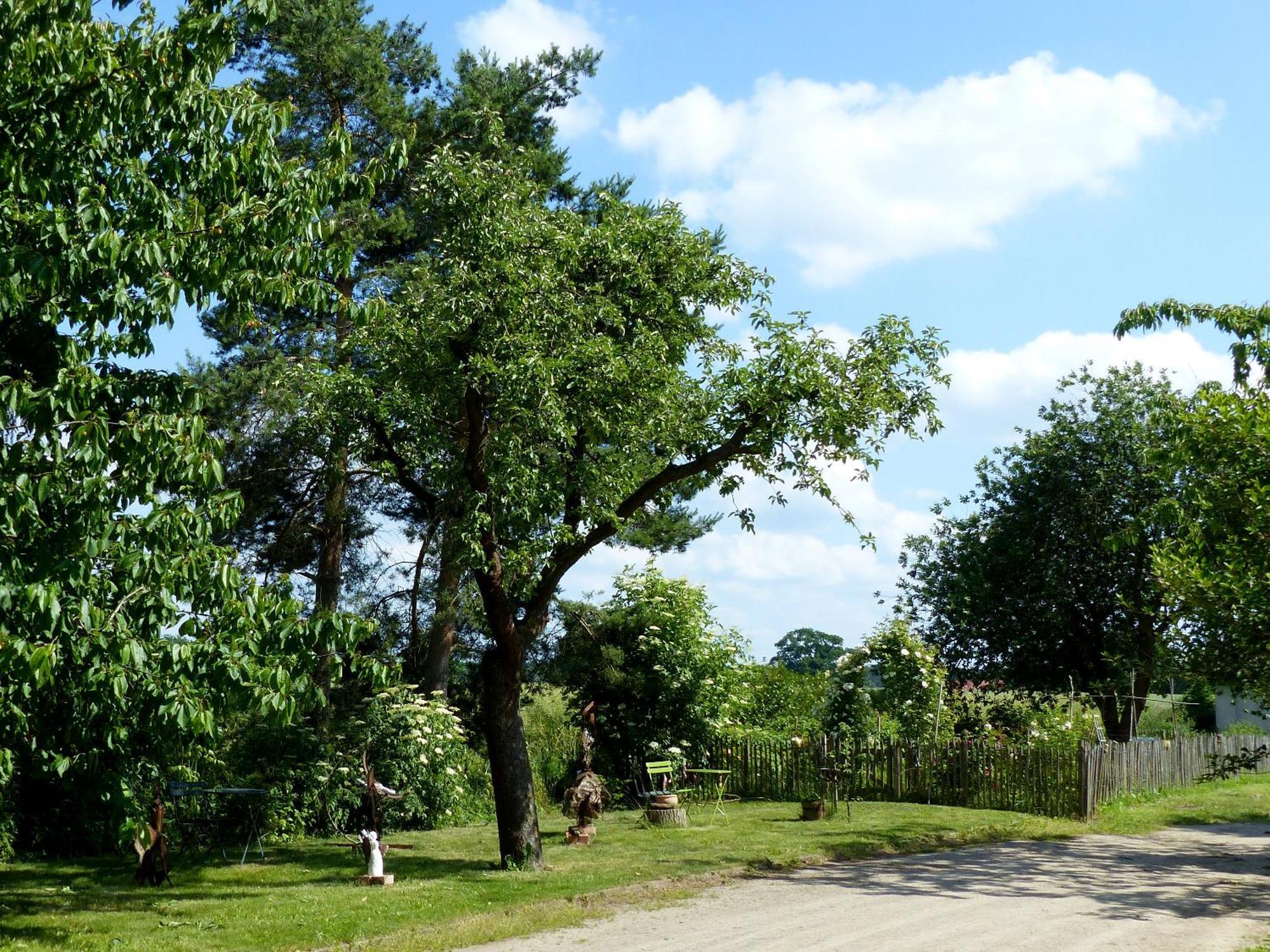 Hof Sorgenlos Gross Gievitz المظهر الخارجي الصورة